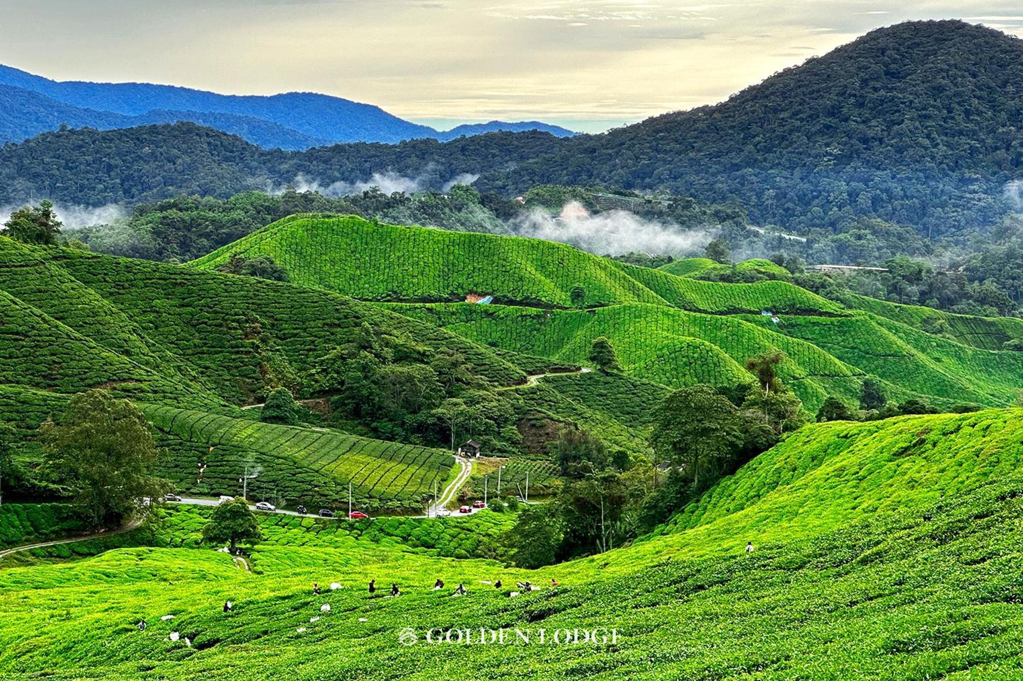 Golden Lodge Tanah Rata Luaran gambar