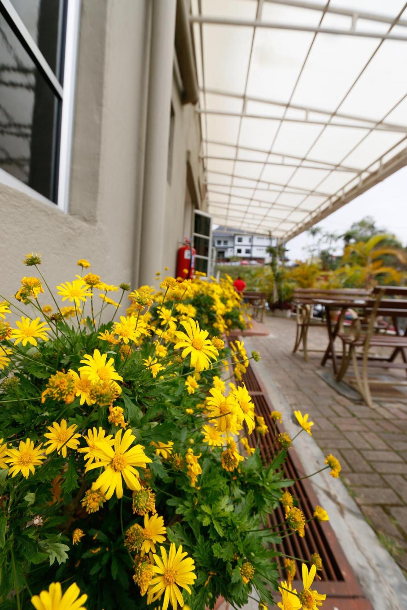 Golden Lodge Tanah Rata Luaran gambar